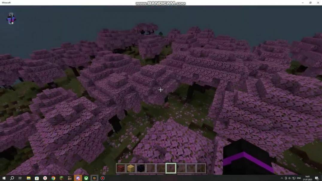 2 деревни + 2 портала в Minecraft