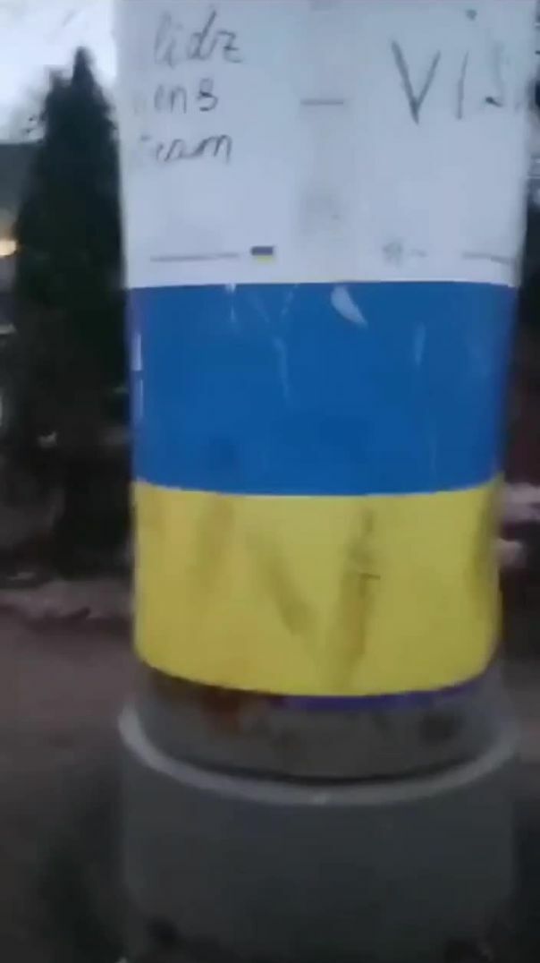 Реакция латыша на флаг Украины